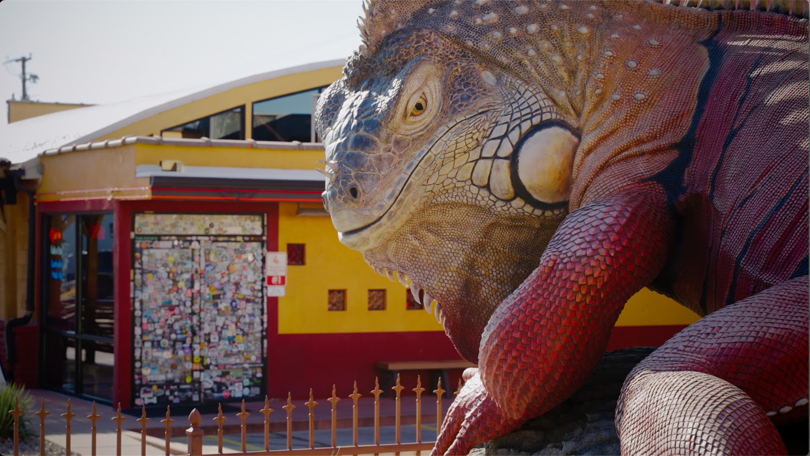 Red Iguana 2