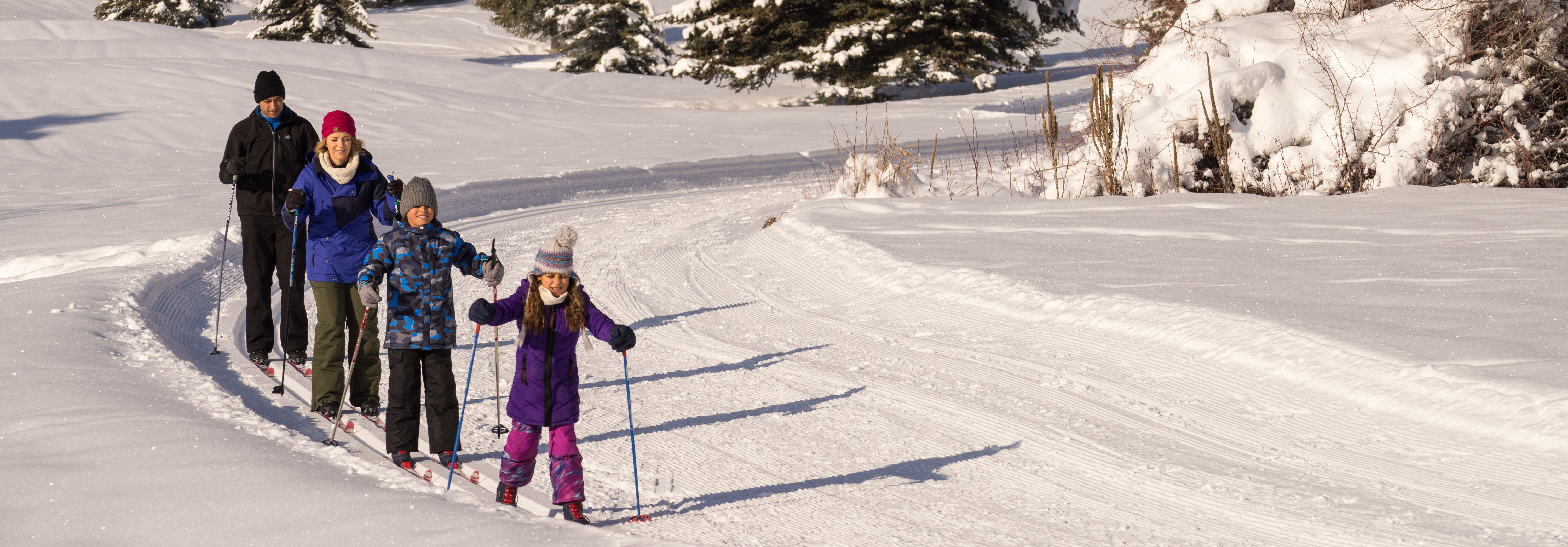 Wasatch Mountain State Park in Heber City