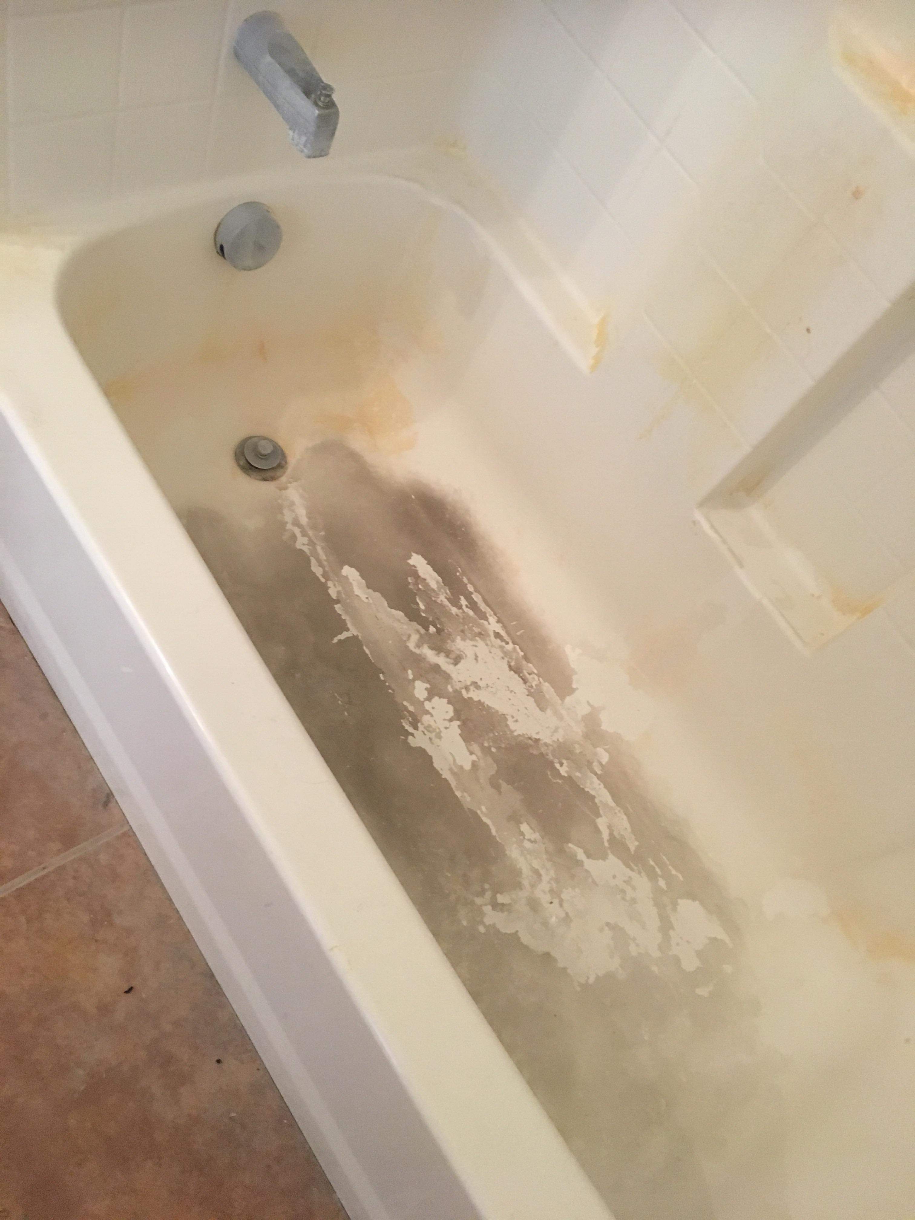 Black To Bright cleaning services  in St. George
