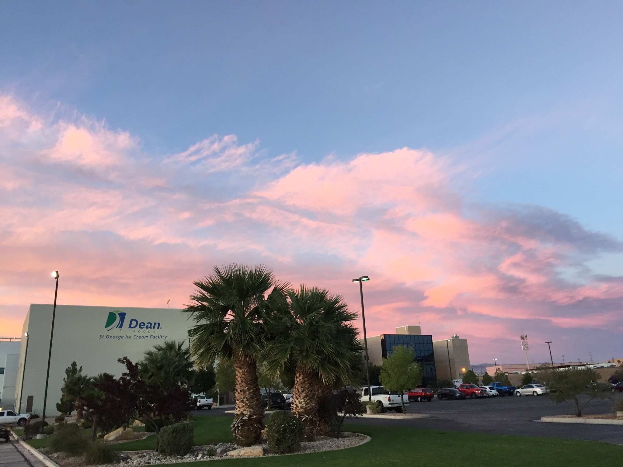 Dairy Farmers of America in St. George