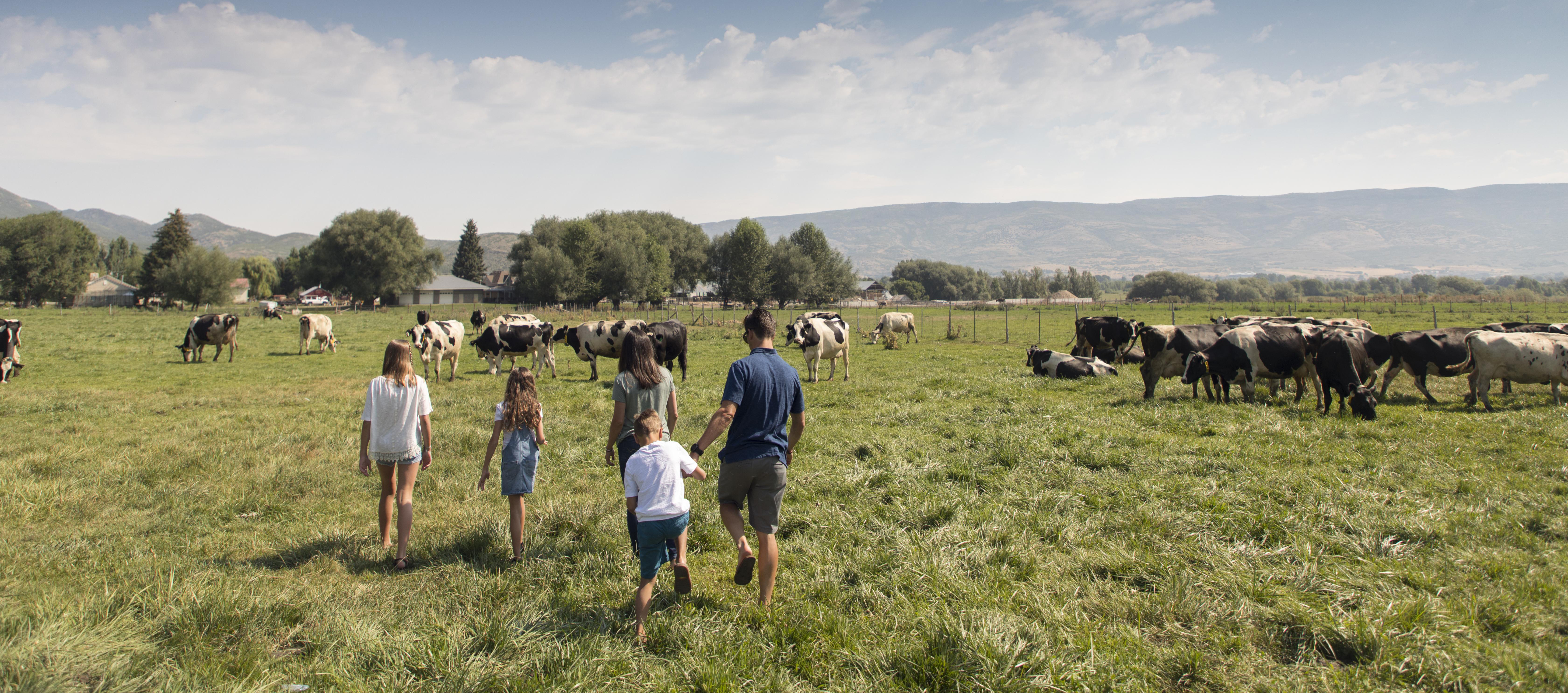 Heber Valley Artisan Cheese in Heber City