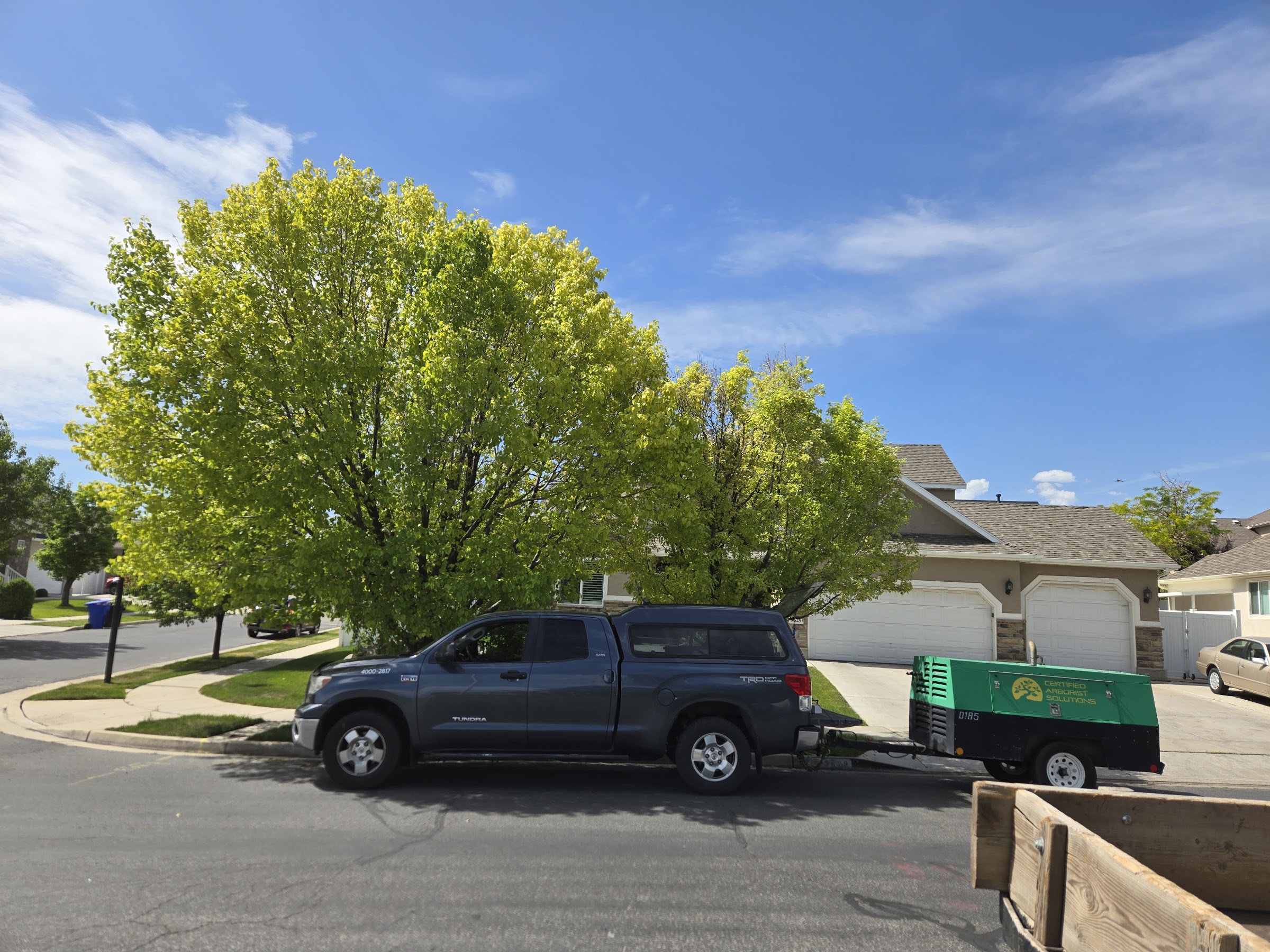 TreeMendus Arbor Care in Syracuse, UT