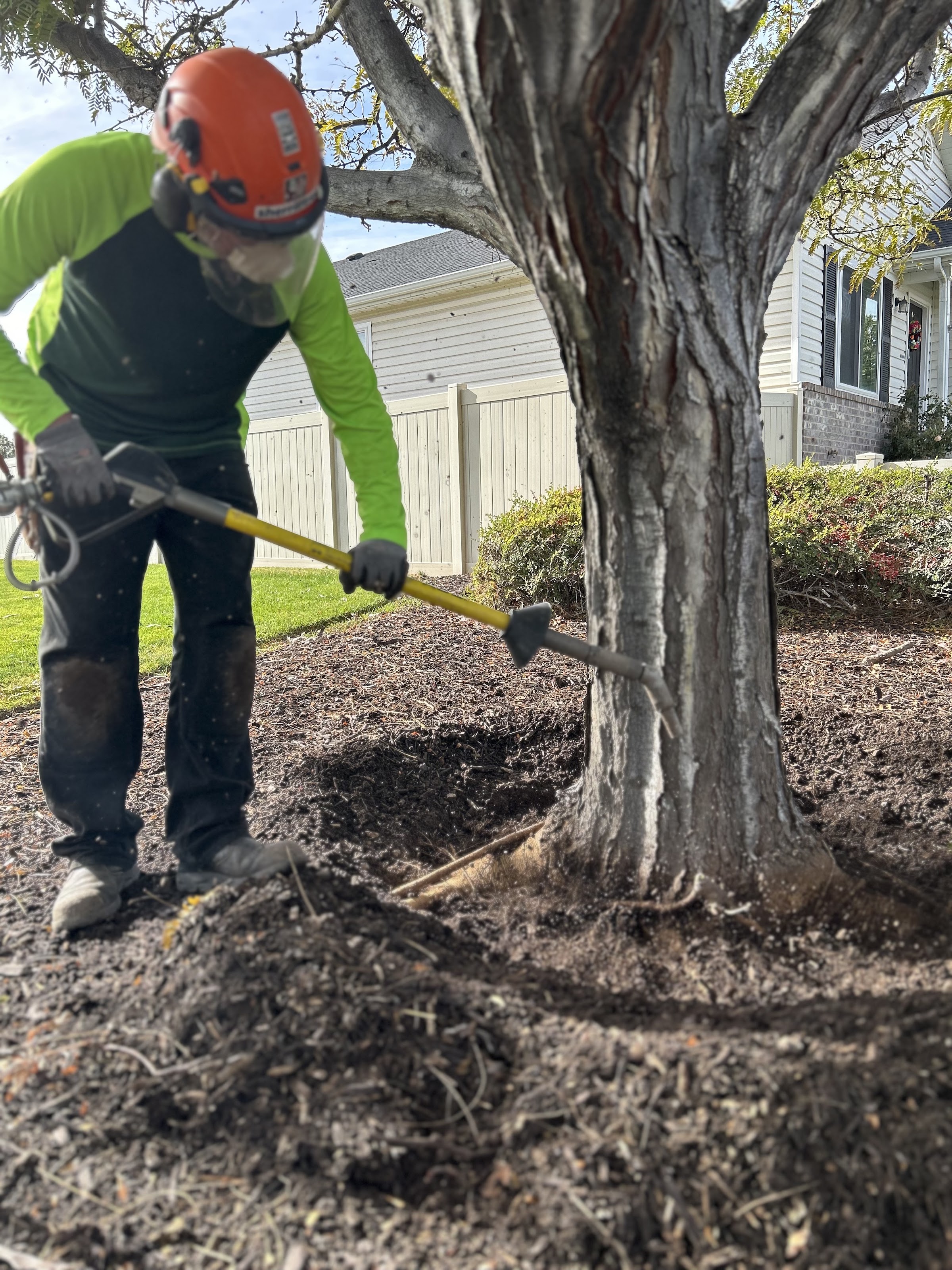 TreeMendus Arbor Care in Syracuse, UT