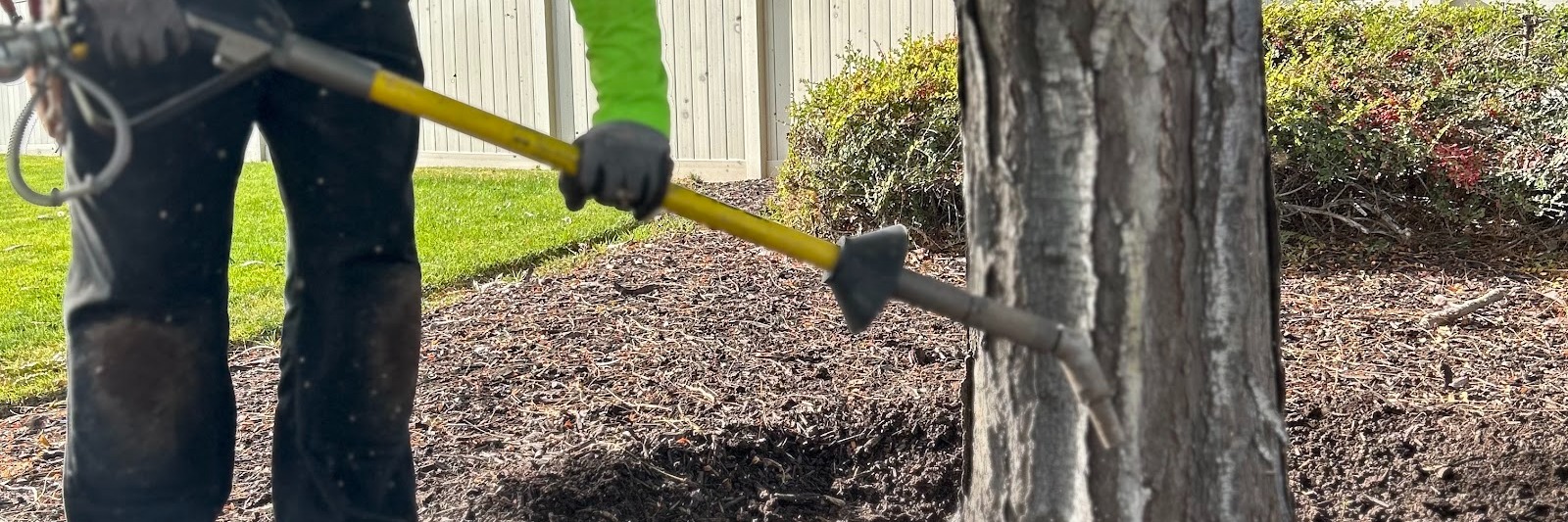 TreeMendus Arbor Care in Syracuse